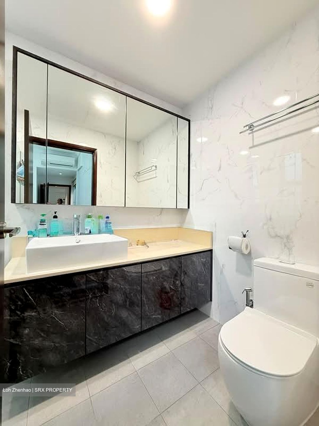 Bishan Loft (D20), Condominium #573750001